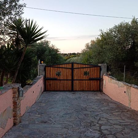 Villa Relax Tra Gli Ulivi Alghero Esterno foto
