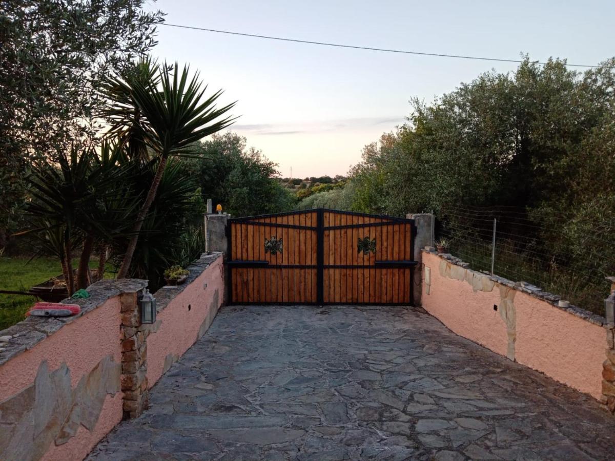 Villa Relax Tra Gli Ulivi Alghero Esterno foto