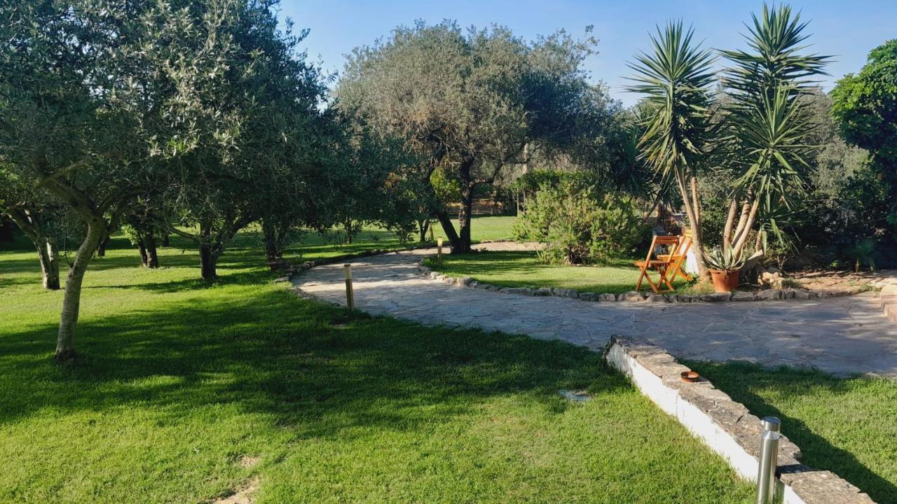 Villa Relax Tra Gli Ulivi Alghero Esterno foto
