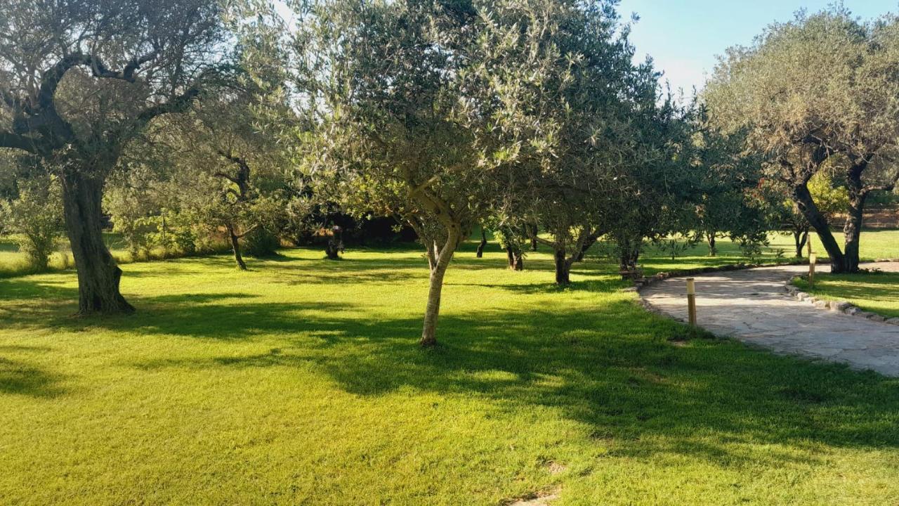 Villa Relax Tra Gli Ulivi Alghero Esterno foto